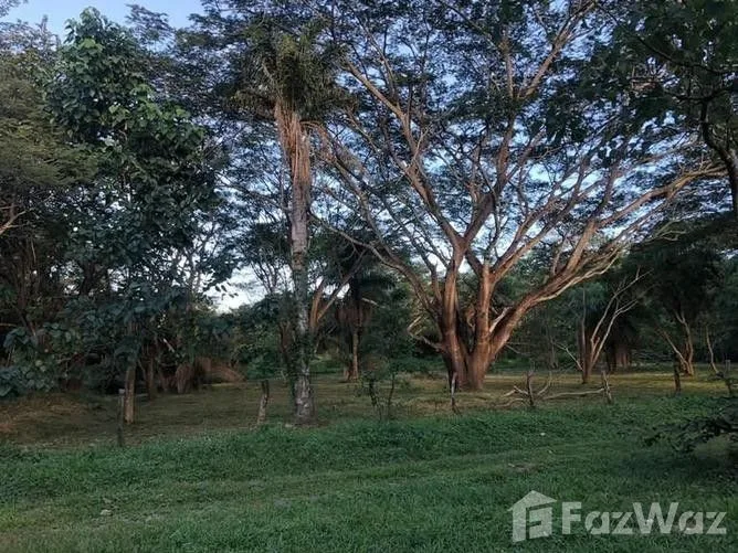 Land for Sale in Liberia, Guanacaste for $100,000