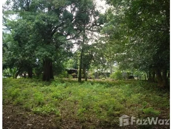 Land for Sale in Liberia, Guanacaste for $54,000