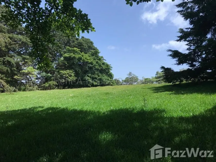 Land for Sale at Mountain Condominium For Sale in San Isidro for $4,070