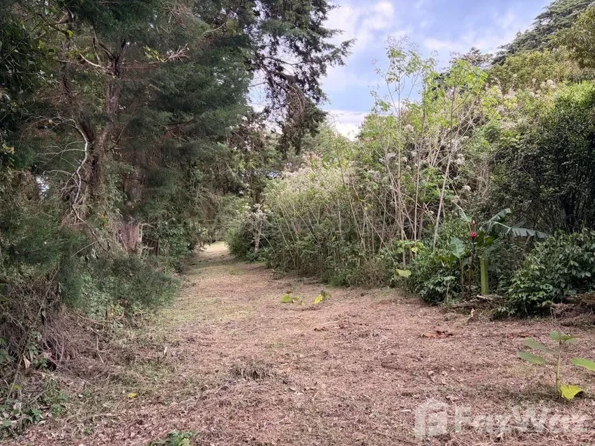 Land for Sale at Mountain Condominium For Sale in San Isidro for $4,060 — photo 5