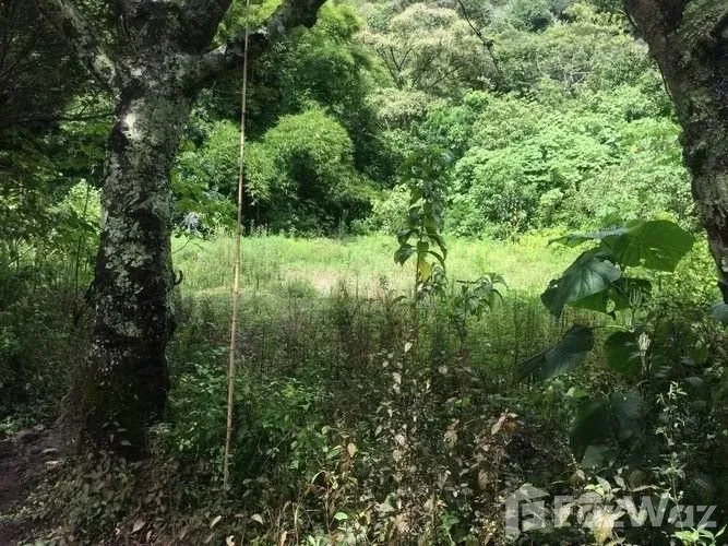 Land for Sale in Aserri, San Jose for $197,715