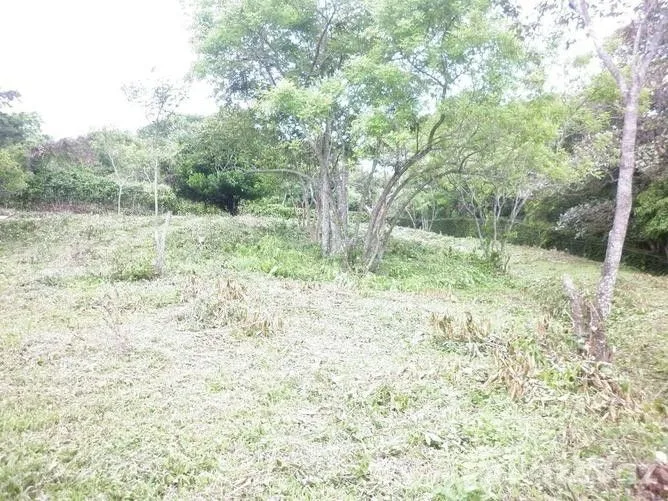 Land for Sale at Brasil de Mora for $45,000,000 — photo 3