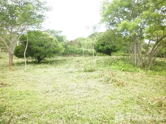 Land for Sale at Brasil de Mora for $45,000,000 — photo 4