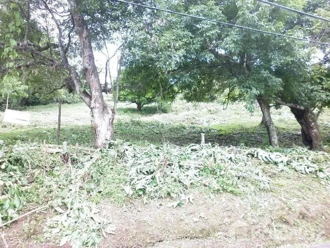 Land for Sale at Brasil de Mora for $45,000,000 — photo 5
