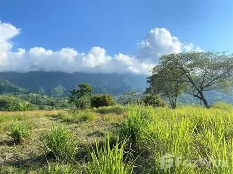 Land for Sale in Osa, Puntarenas for $349,000