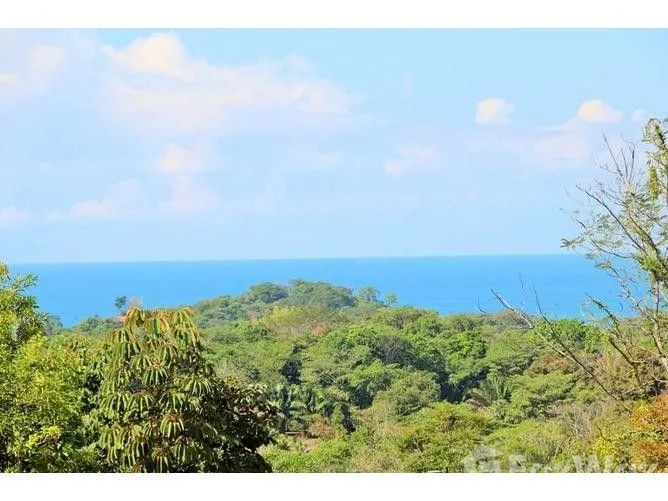 Land for Sale in Osa, Puntarenas for $129,000