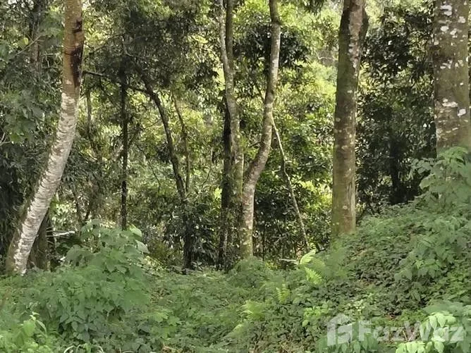Land for Sale in La Union, Cartago for $166,000