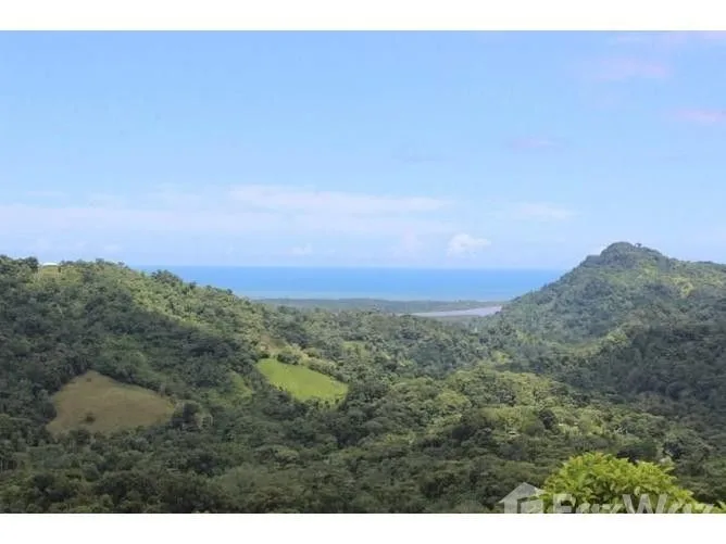 Land for Sale in Osa, Puntarenas for $99,000