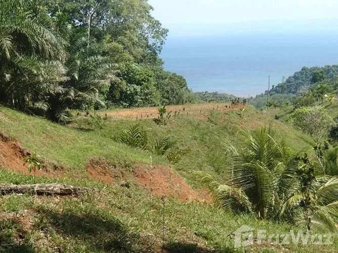 Land for Sale in Golfito, Puntarenas for $210,000