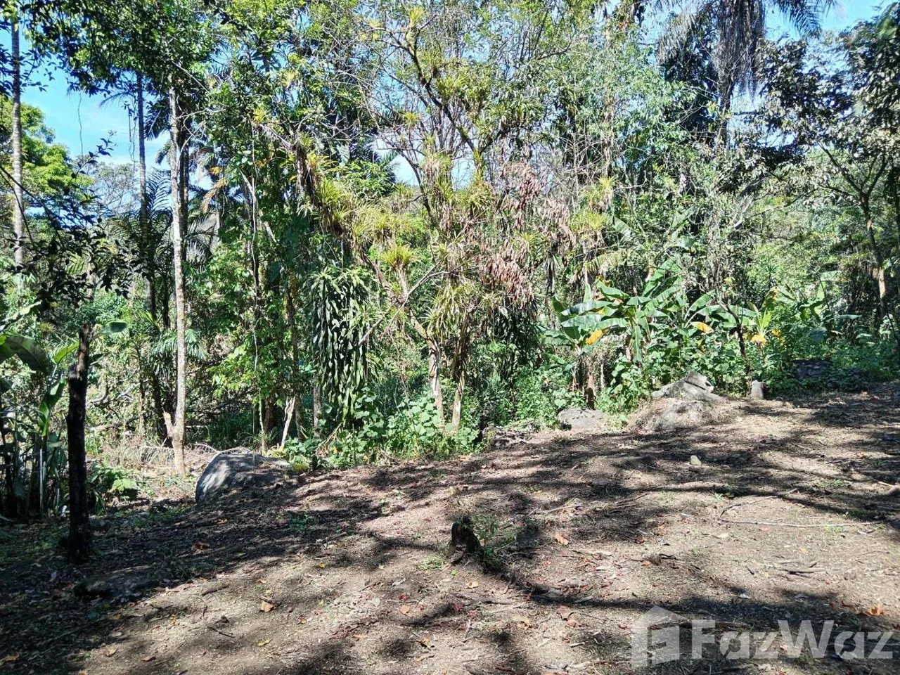 Land for Sale in Mora, San Jose for $155,000