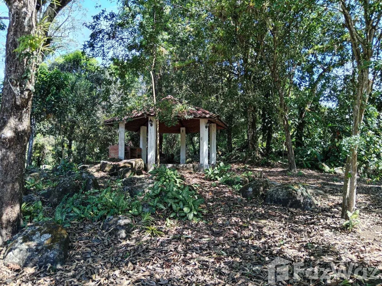 Land for Sale in Mora, San Jose for $155,000 — photo 2