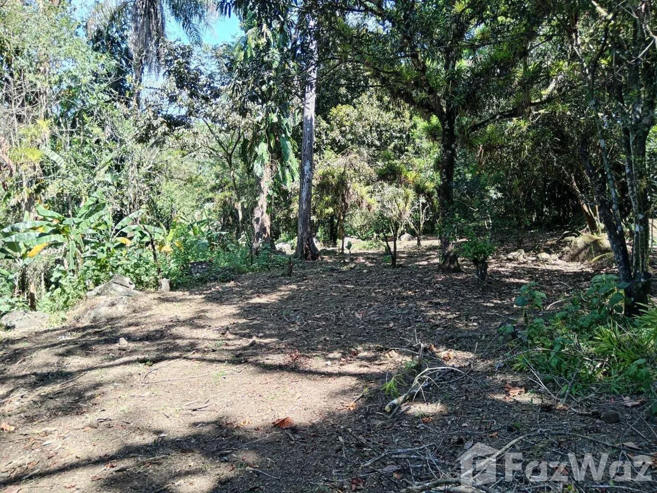 Land for Sale in Mora, San Jose for $155,000 — photo 3