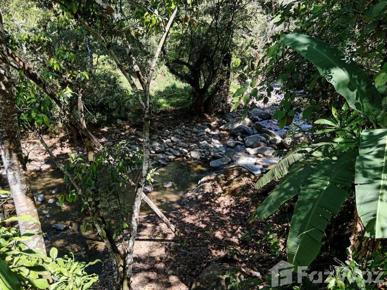 Land for Sale in Mora, San Jose for $155,000 — photo 5