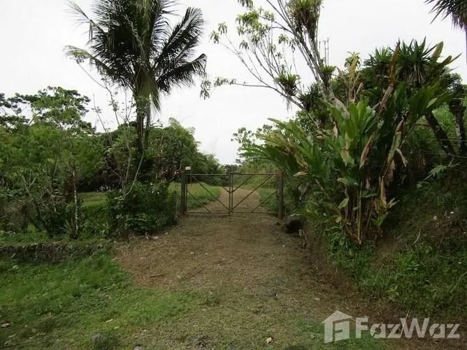 Land for Sale in Siquirres, Limon for $248,000