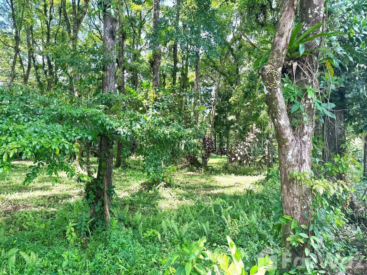 Land for Sale at HEREDIA for $350,000 — photo 2