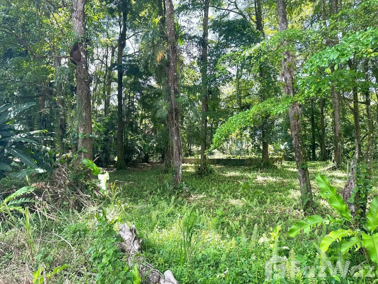 Land for Sale at HEREDIA for $350,000 — photo 3