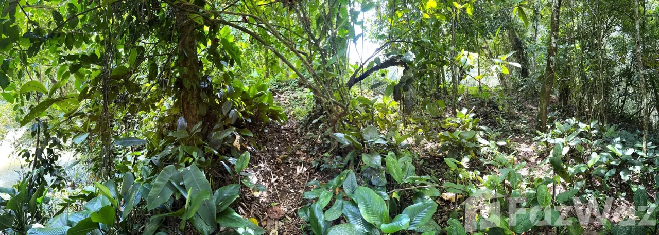 Land for Sale at HEREDIA for $350,000 — photo 5