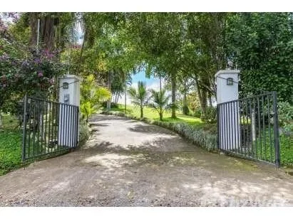 6 Bedroom House for Sale in Mora, San Jose for $450,000 — photo 2