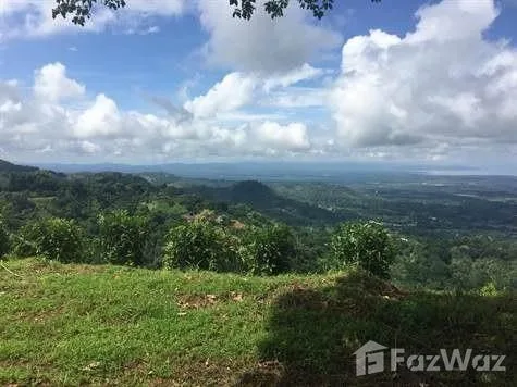 Land for Sale in Osa, Puntarenas for $179,000