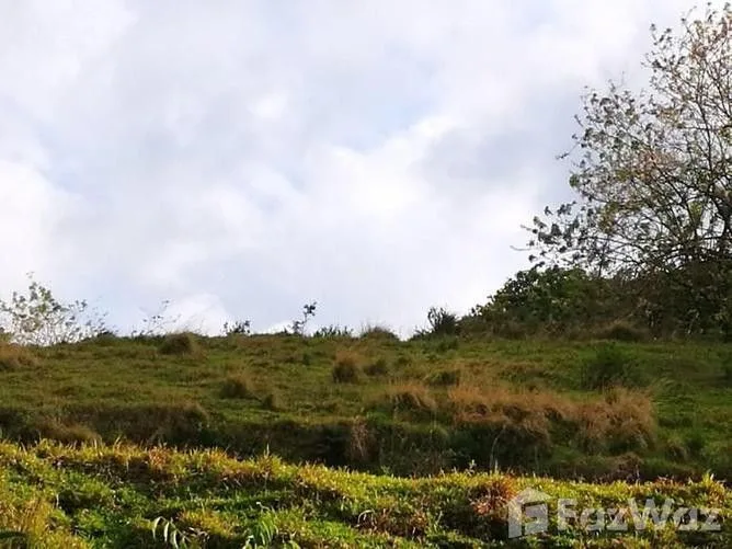 Land for Sale in Tilaran, Guanacaste for $150,000
