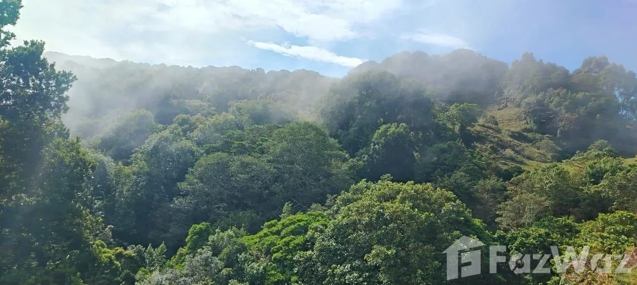Land for Sale in Leon Cortes, San Jose for $112,500
