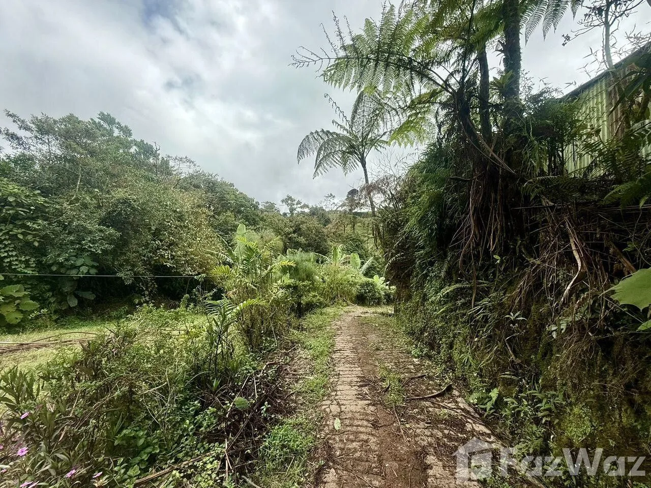 Land for Sale at HEREDIA for $445,000 — photo 4