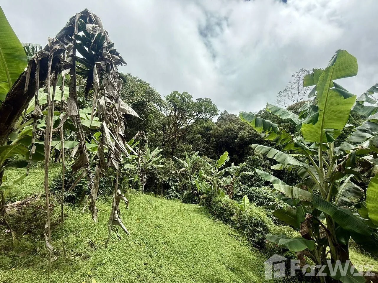 Land for Sale at HEREDIA for $445,000 — photo 5