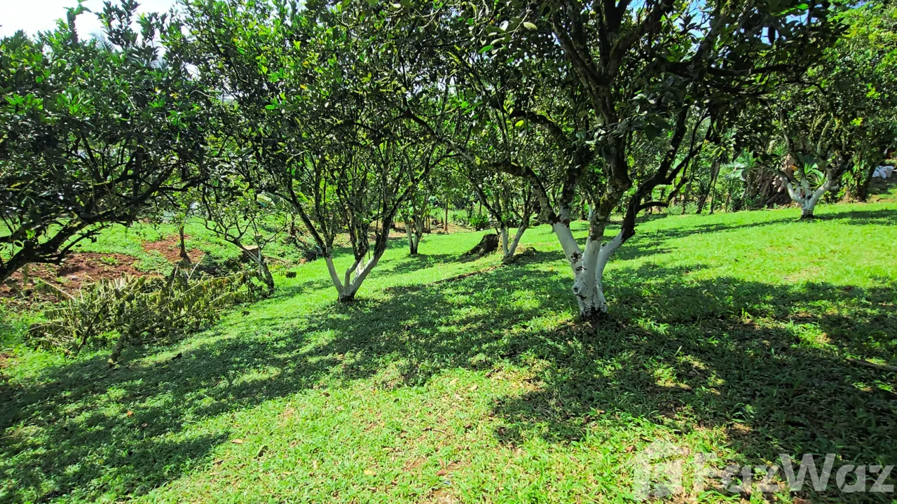Land for Sale in Perez Zeledon, San Jose for $55,000