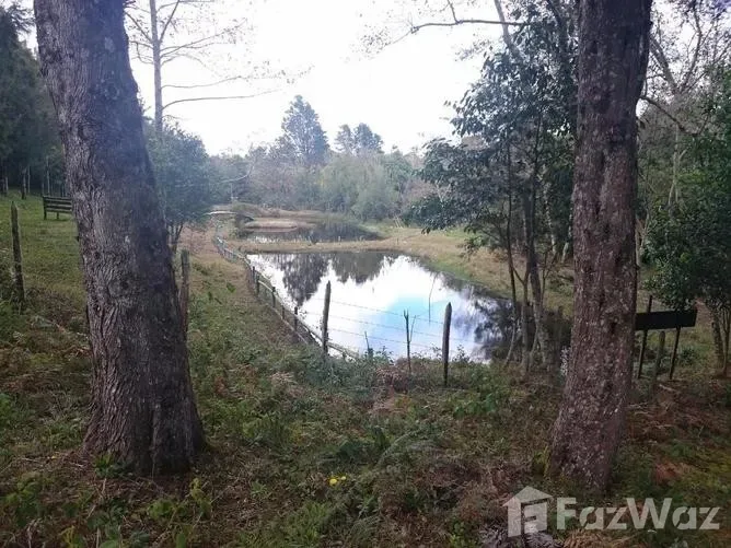 Land for Sale in Dota, San Jose for $100,000