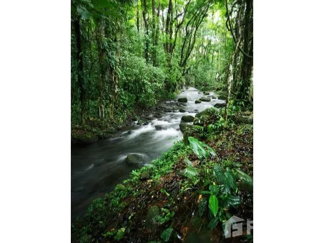 Land for Sale in Pococi, Limon for $50,000