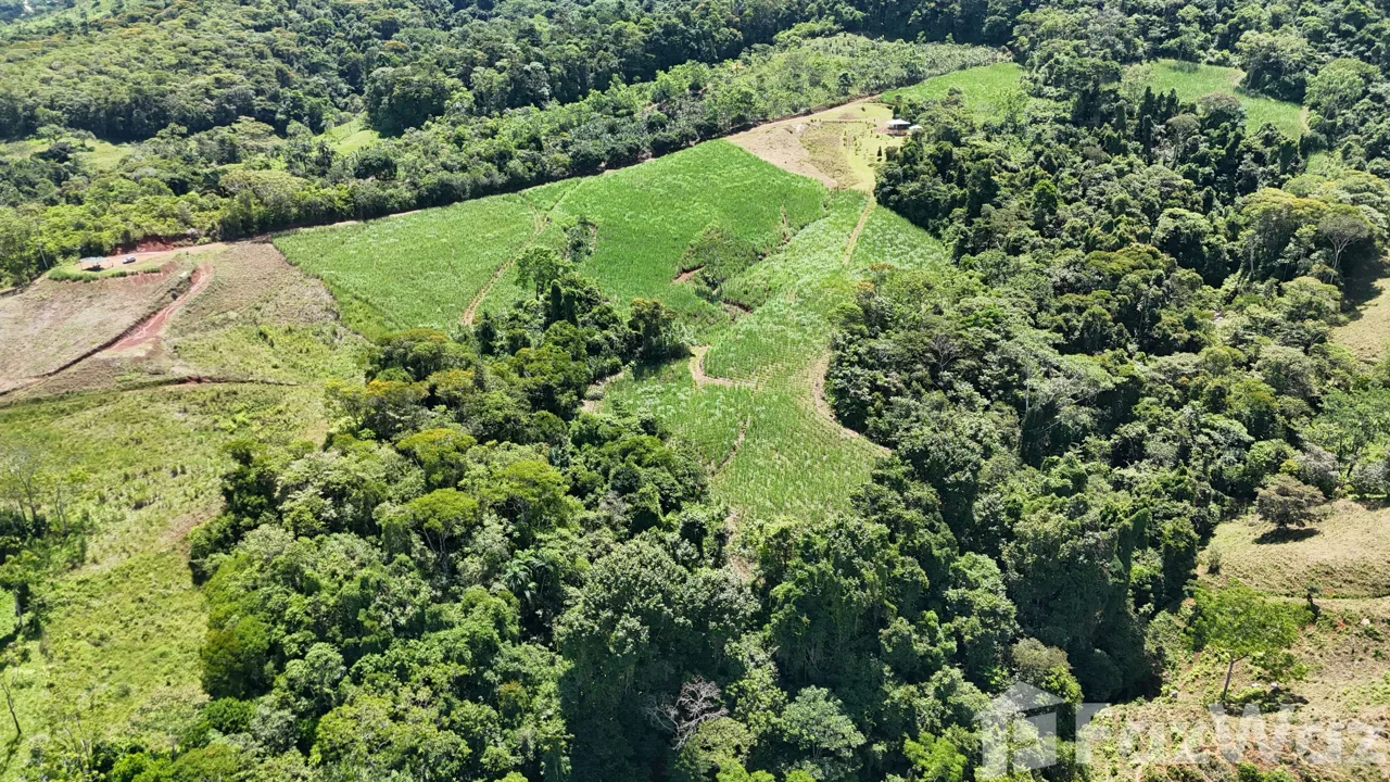 Land for Sale in Perez Zeledon, San Jose for $175,000
