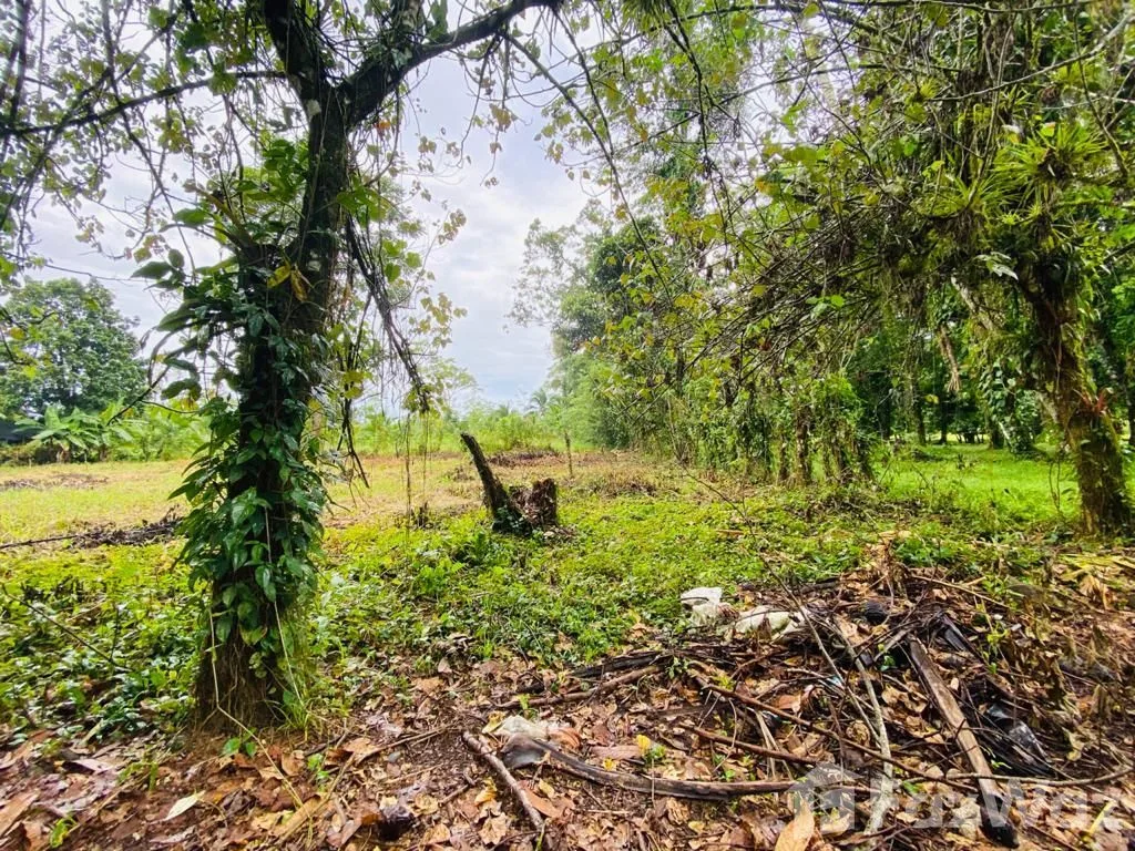 Land for Sale in Pococi, Limon for $8,800