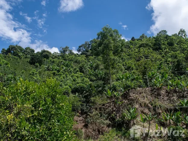 Land for Sale in Perez Zeledon, San Jose for $825,000 — photo 2
