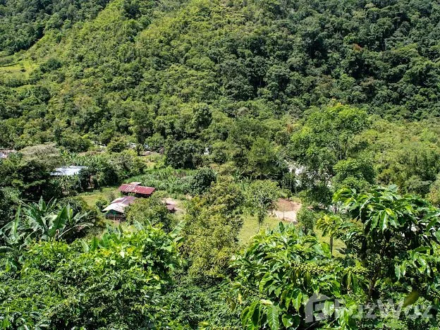 Land for Sale in Perez Zeledon, San Jose for $825,000 — photo 4