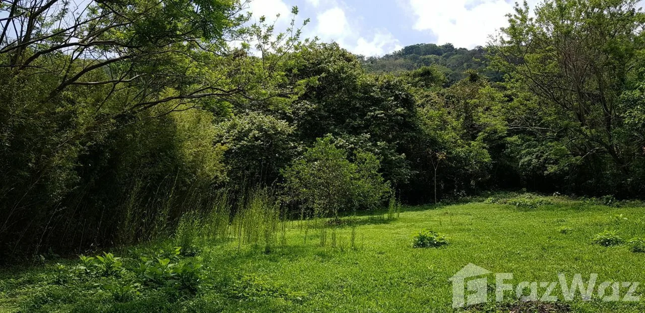 Land for Sale in Santa Ana, San Jose for $199,500