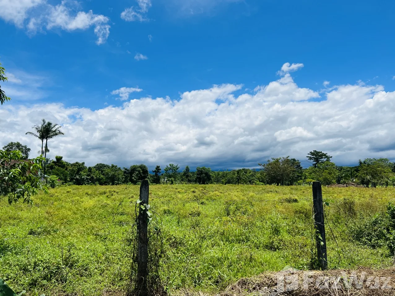Land for Sale in Pococi, Limon for $85,800