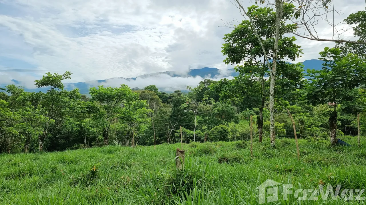 Land for Sale in Perez Zeledon, San Jose for $115,000