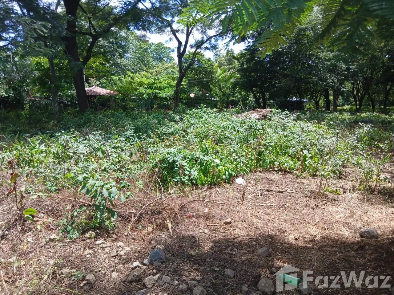 Land for Sale in Carrillo, Guanacaste for $74,000