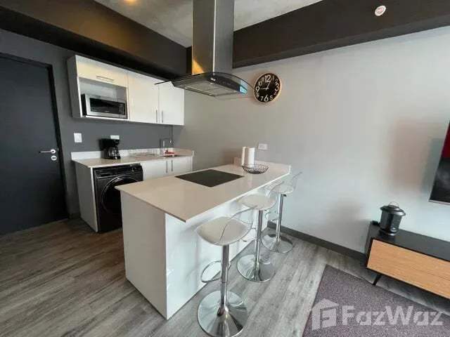 1 Bedroom Condo for Rent at Mata Redonda for $2/mo