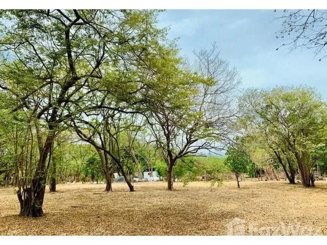 Land for Sale in Liberia, Guanacaste for $80,000