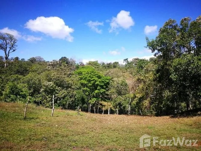Land for Sale in Tilaran, Guanacaste for $65,400