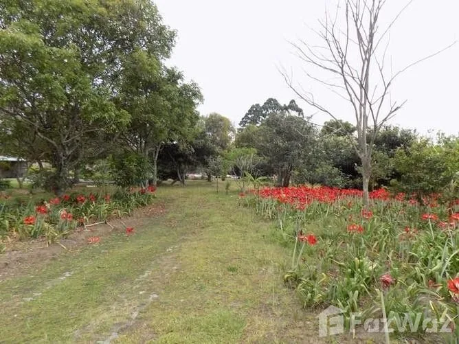 Land for Sale in Flores, Heredia for $520,000