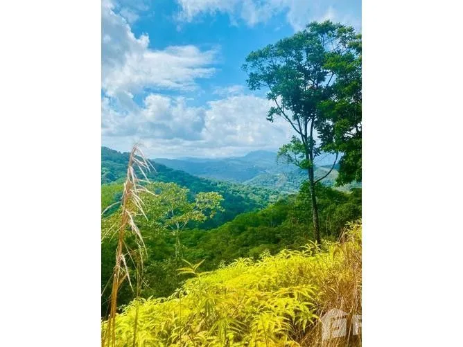 Land for Sale in Perez Zeledon, San Jose for $43,929