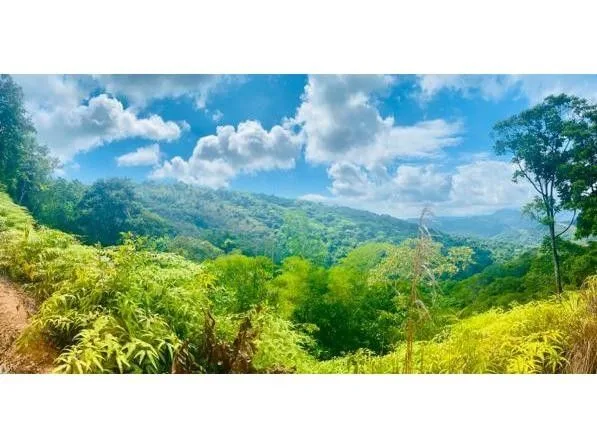 Land for Sale in Perez Zeledon, San Jose for $43,929 — photo 2