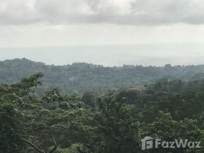 Land for Sale in Osa, Puntarenas for $84,900