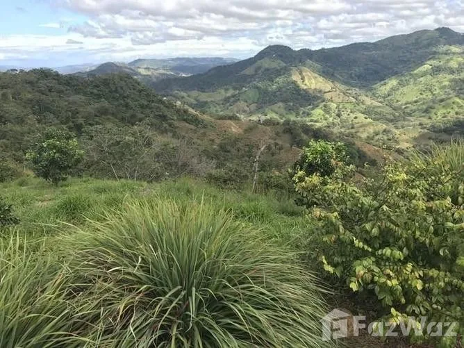 Land for Sale in Nicoya, Guanacaste for $299,000