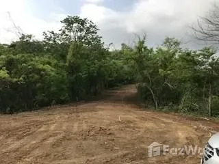 Land for Sale in Santa Cruz, Guanacaste for $55,000