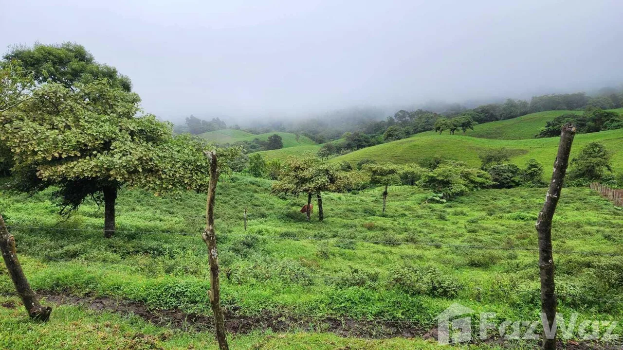 Land for Sale in Vasquez De Coronado, San Jose for $125,100 — photo 4