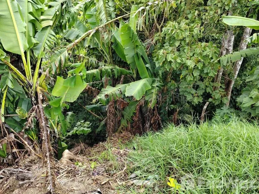 Land for Sale at Condominio Altivar for $75,750