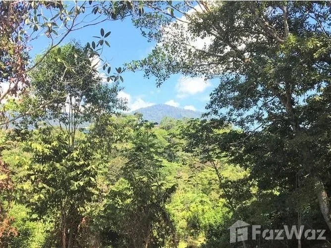 Land for Sale in Osa, Puntarenas for $88,000
